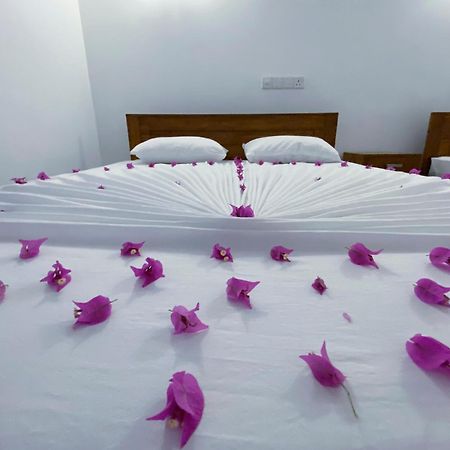 Yala Safari Green Home Stay Tissamaharama Exteriör bild